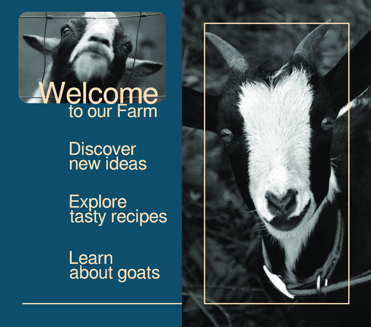 Little Goat Farms Flap of Brochure